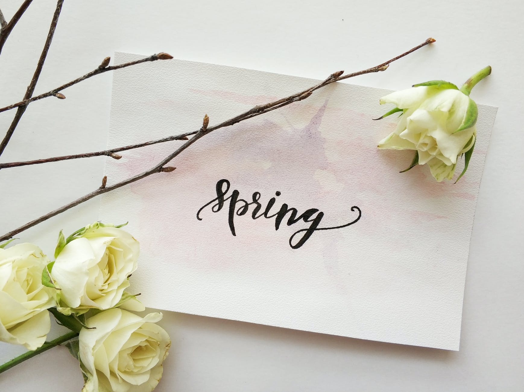 15 Activities we can do in Spring Season